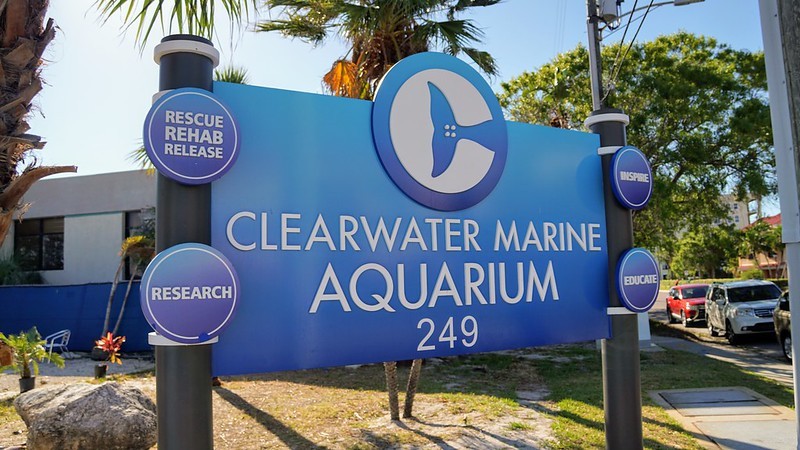 clearwater akvárium florida
