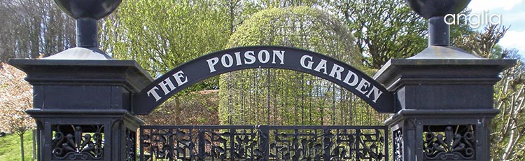 Az angliai mérgeskert, ahol 100 gyilkos növény él