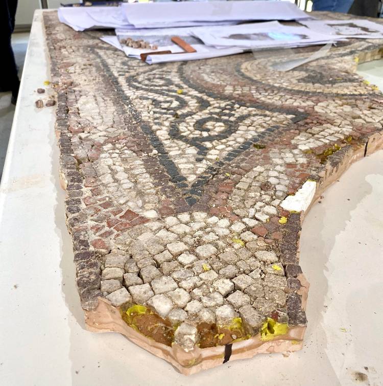 salisbury mozaik 05x