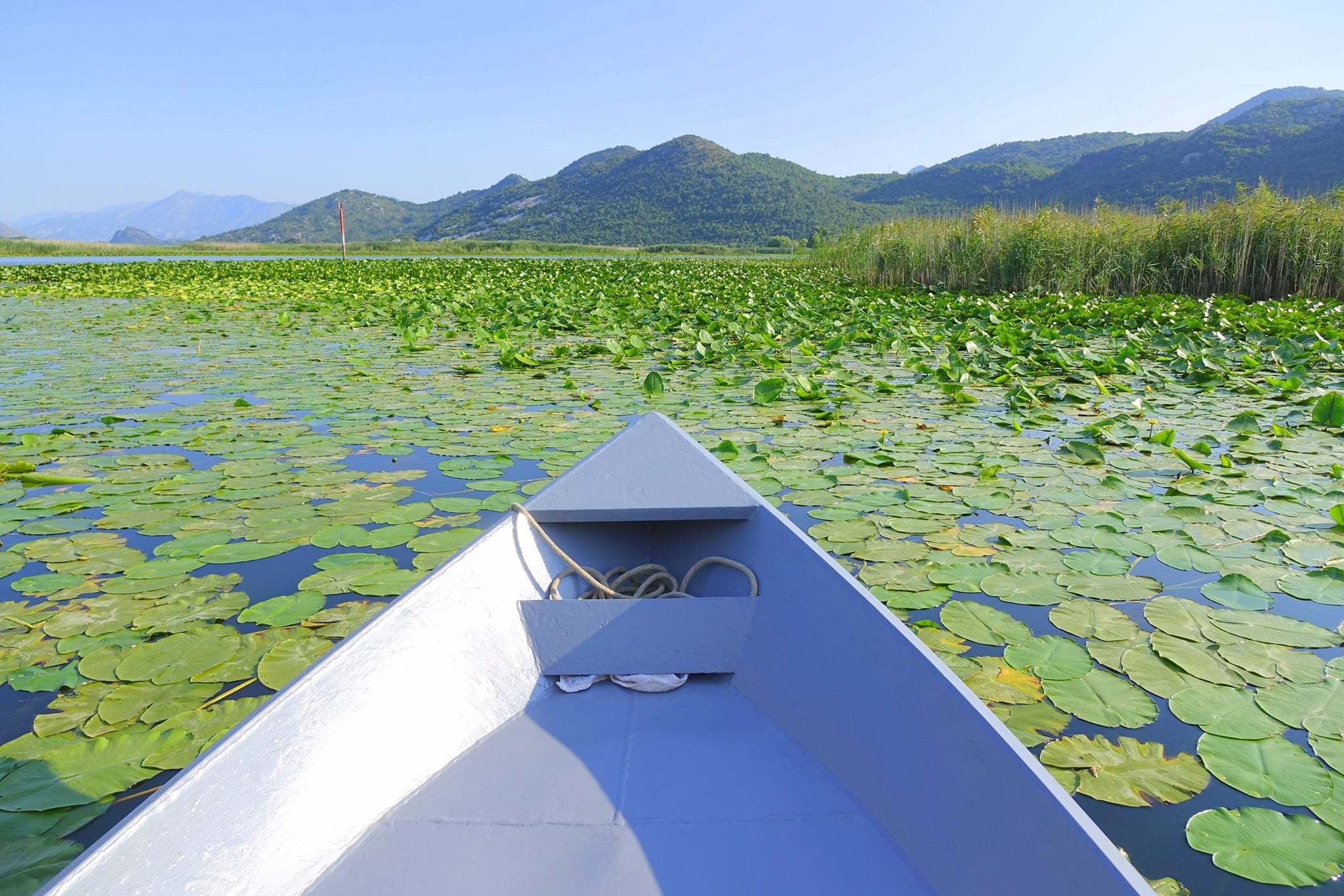 Shkodrai tó Nemzeti Park csónakból