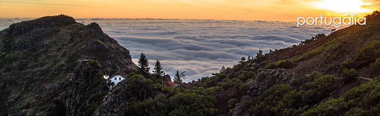 Madeira, a fák szigete - egy kis gyorstalpaló erről a csodás szigetről