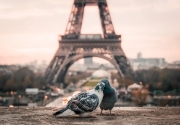 Újra nyitott az Eiffel-torony Párizsban 